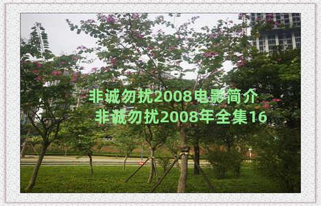 非诚勿扰2008电影简介 非诚勿扰2008年全集16